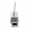 STARTECH CABLE ADAPTADOR USB 2.0 3M IMPRESORA - 1X