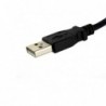 STARTECH CABLE ALARGADOR 30CM USB 2.0 ALTA VELOCID